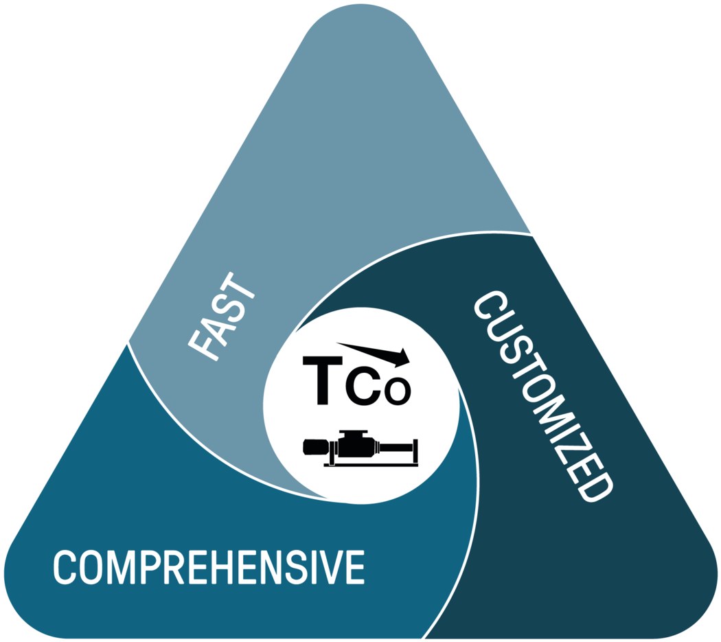 csm digital solutions tco blue en 