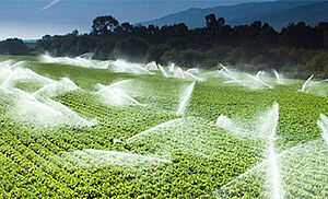 csm seepex casestudy teaser eteläinen salaatti